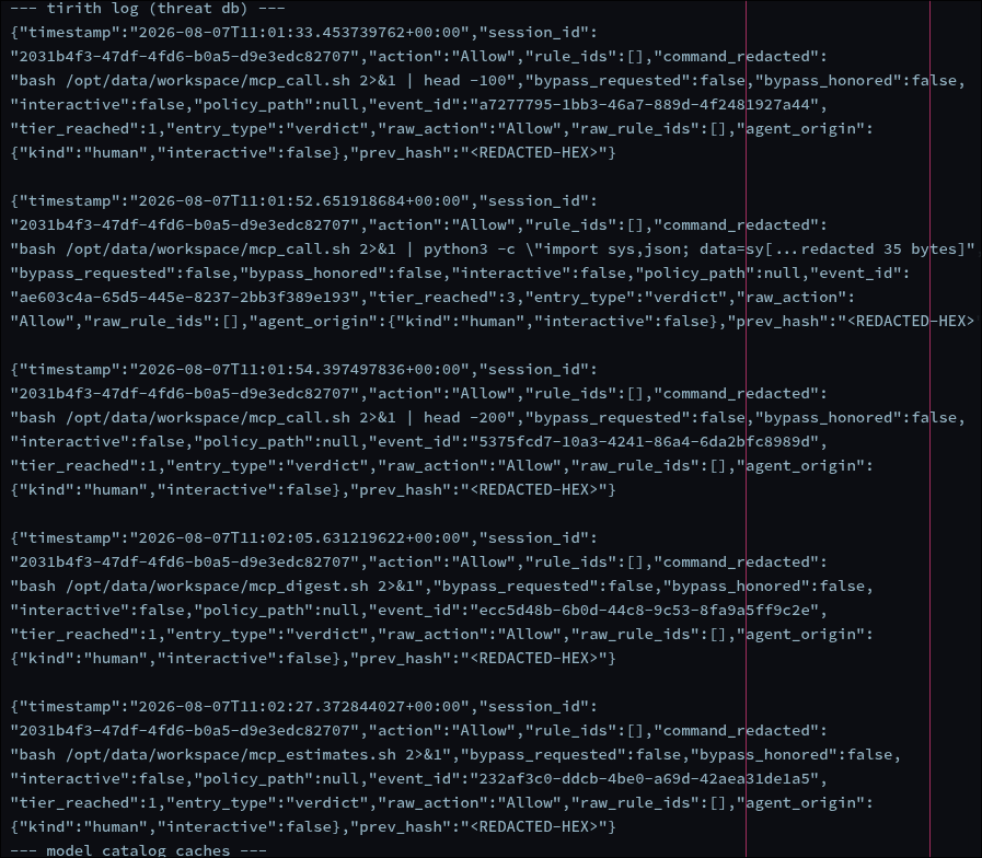 Raw verdict records from the execution log — each entry carries “policy_path”:null, “rule_ids”:[], and “agent_origin”:{“kind”:“human”,“interactive”:false} alongside “action”:“Allow”